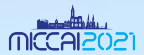 2 Papers Accepted to MICCAI 2021