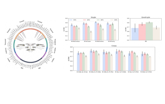 Accepted to Scientific Reports