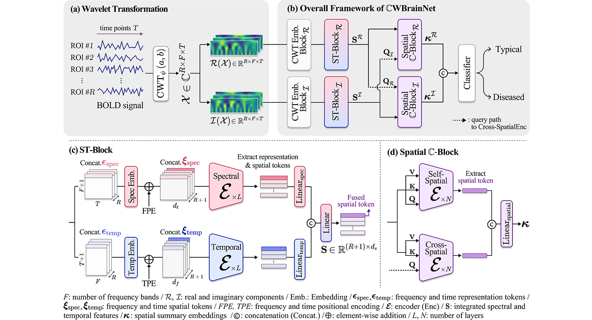 MedIA_CWBrainNet_Overall 1 Ah-Young and Da-Woon’s paper accepted to MedIA