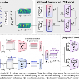 MedIA_CWBrainNet_Overall 1 Ah-Young and Da-Woon’s paper accepted to MedIA