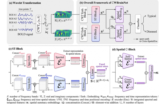 MedIA_CWBrainNet_Overall 1 Ah-Young and Da-Woon’s paper accepted to MedIA