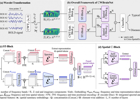 Ah-Young and Da-Woon’s paper accepted to MedIA